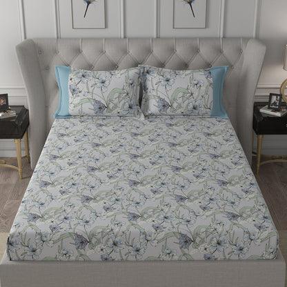 Backyard Patio Valencia Printed 100%Cotton Aqua Bed Sheet with Pillow Case